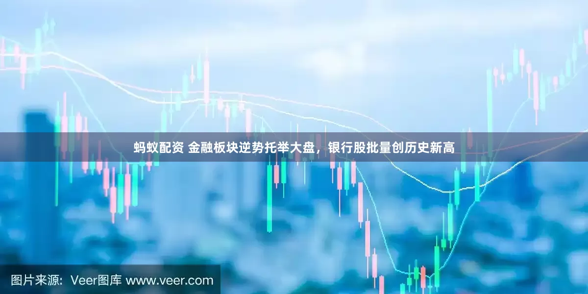 蚂蚁配资 金融板块逆势托举大盘，银行股批量创历史新高