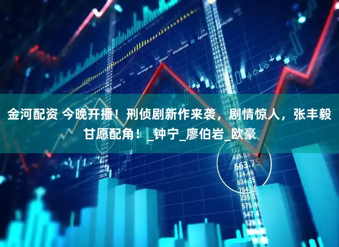 金河配资 今晚开播！刑侦剧新作来袭，剧情惊人，张丰毅甘愿配角！_钟宁_廖伯岩_欧豪