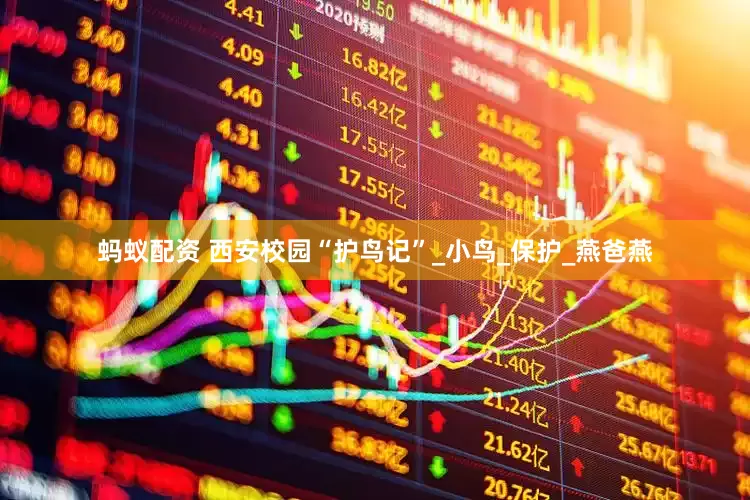 蚂蚁配资 西安校园“护鸟记”_小鸟_保护_燕爸燕
