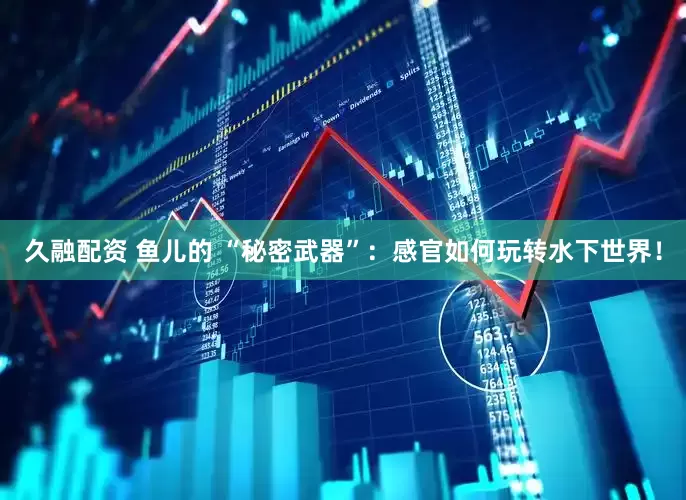 久融配资 鱼儿的 “秘密武器”：感官如何玩转水下世界！